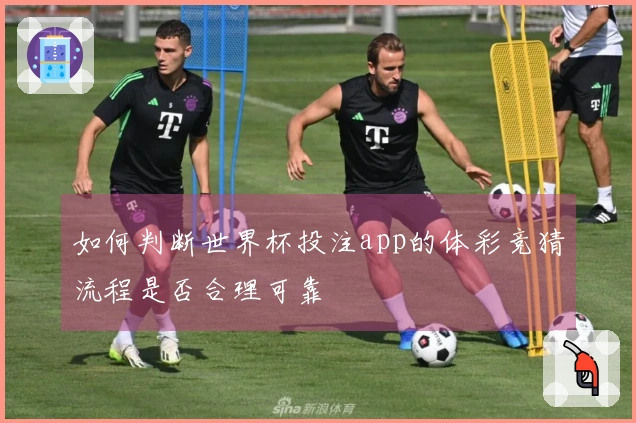 如何判断世界杯投注app的体彩竞猜流程是否合理可靠