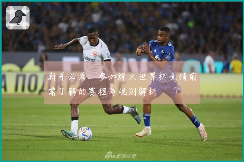 新手必看：参加烽火世界杯竞猜前需了解的赛程与规则解析