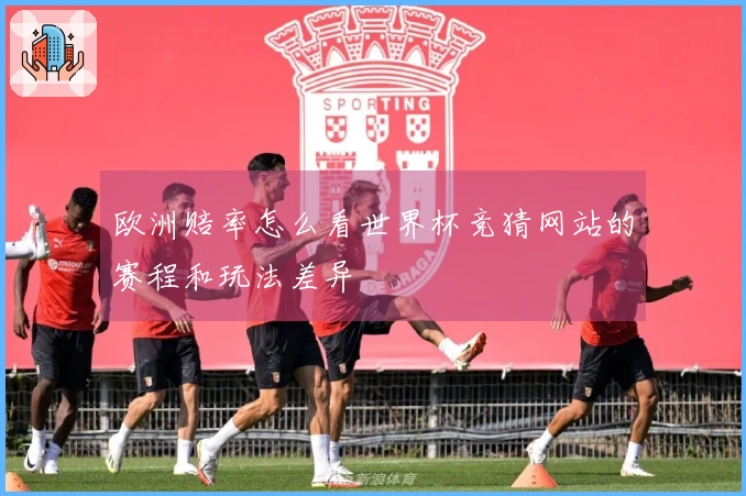 欧洲赔率怎么看世界杯竞猜网站的赛程和玩法差异